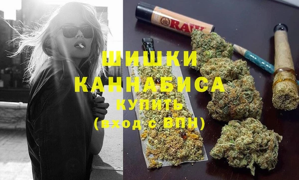 ПСИЛОЦИБИНОВЫЕ ГРИБЫ Белоозёрский