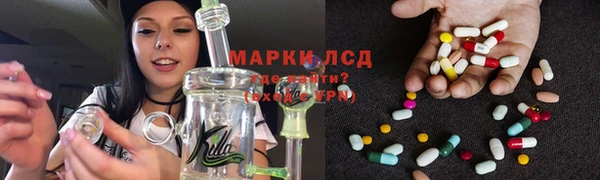 ПСИЛОЦИБИНОВЫЕ ГРИБЫ Белоозёрский