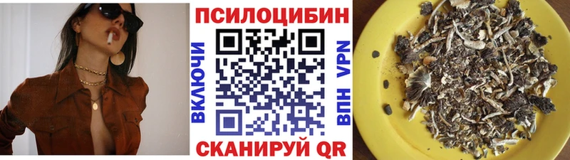 Псилоцибиновые грибы Cubensis это наркотические препараты Городец